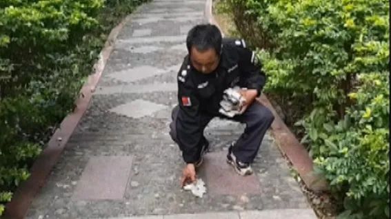DƬ